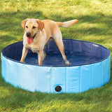 Piscina per cani e bambini - Salute Farma