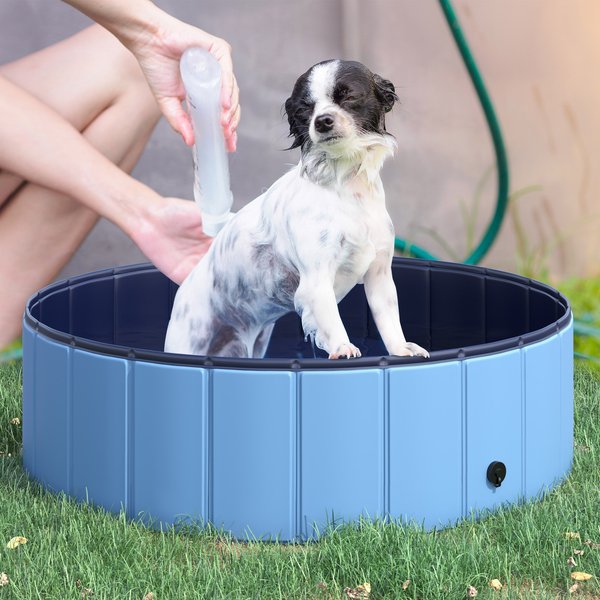 Piscina per cani e bambini - Salute Farma