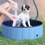 Piscina per cani e bambini - Salute Farma